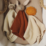 Cuddle Cloth - Farm Friends, Sheep - Avery Row